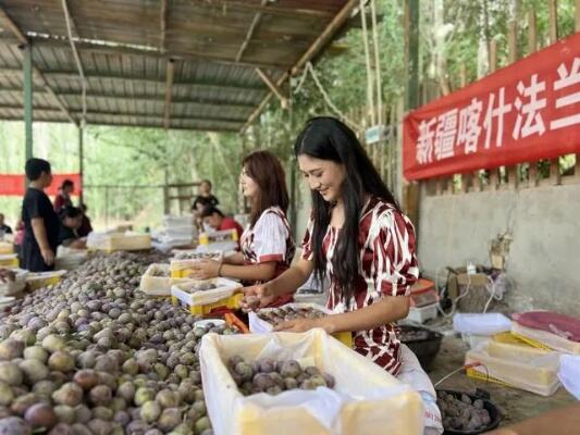 有口福了!20多种<em>新豪天地是谁开的</em>水果集中进京,线上线下都能买