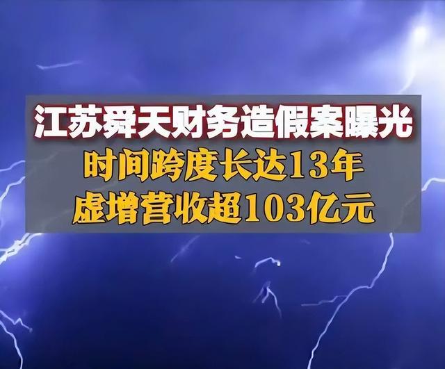 江苏舜天公司,连续13年,财务造假!