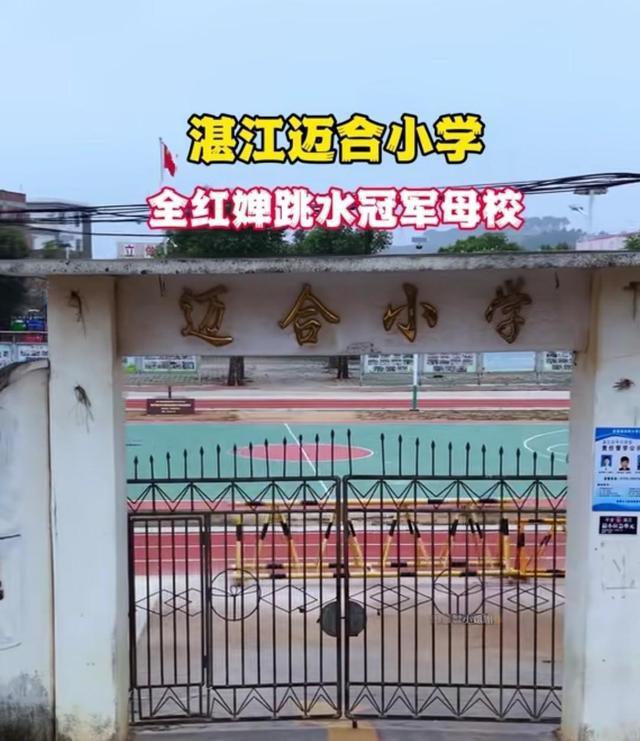 全红婵母校迈合村小学收到建设银行近70万捐款,婵宝影响力太大了