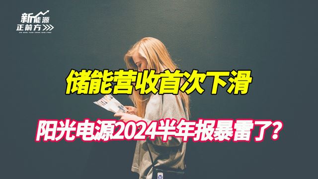 储能营收首次下滑,阳光电源2024年半年报大暴雷了?