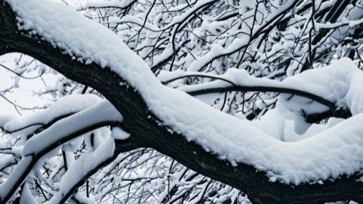 日本海上冷流雪袭来，地震灾区再添自然灾害：冰雪风暴即将来袭